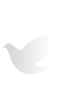 赏金国际 – 挑战全球赛事,赢取荣耀赏金