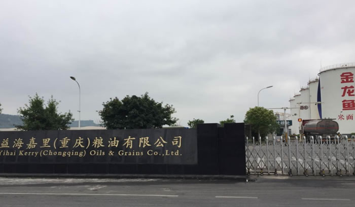赏金国际 – 挑战全球赛事,赢取荣耀赏金